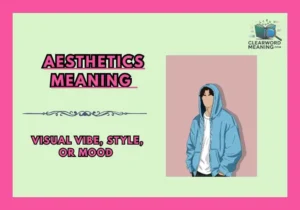 aesthetics meaning