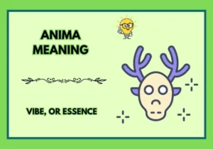 Anima Meaning
