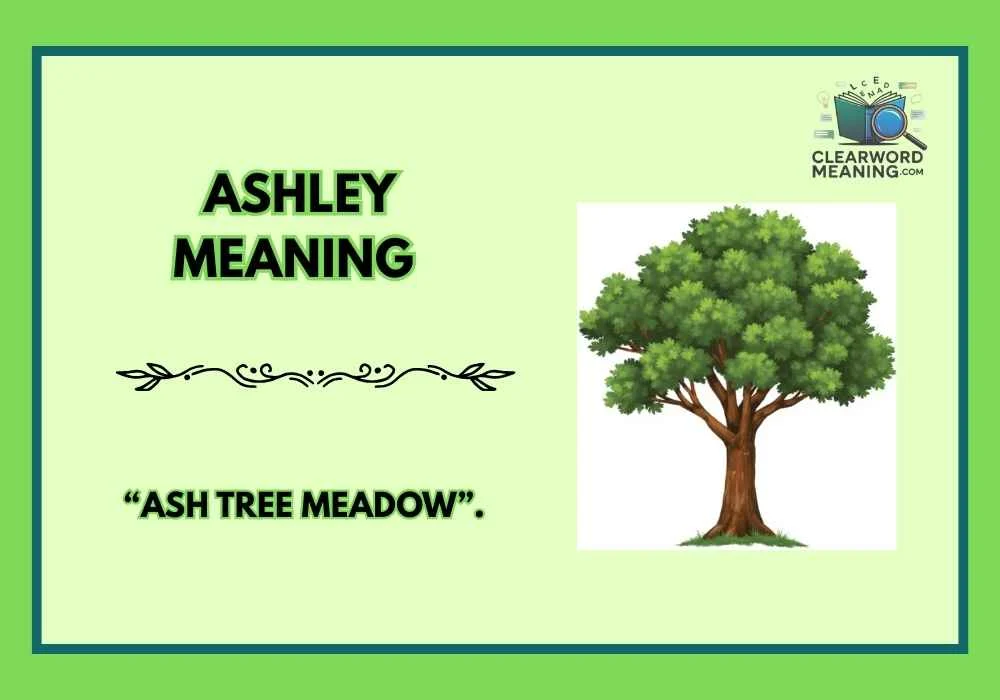 Ashley Meaning