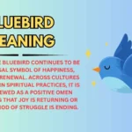 Bluebird Meaning