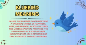 Bluebird Meaning