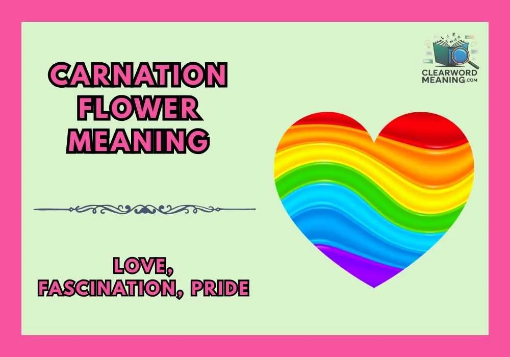 Carnation Flower Meaning