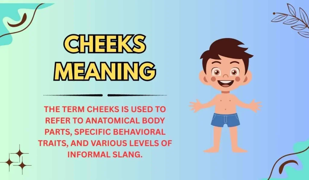Cheeks Meaning