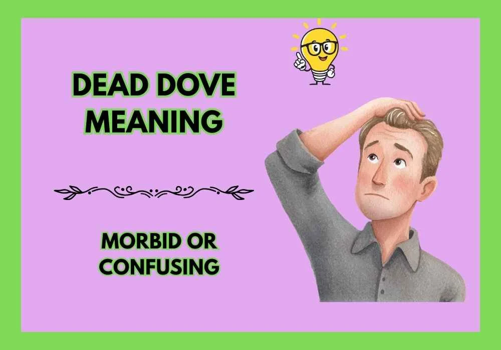 Dead Dove Meaning