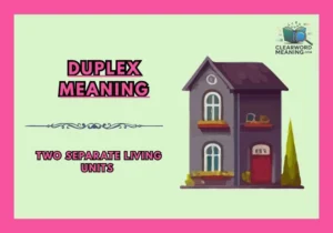 Duplex Meaning