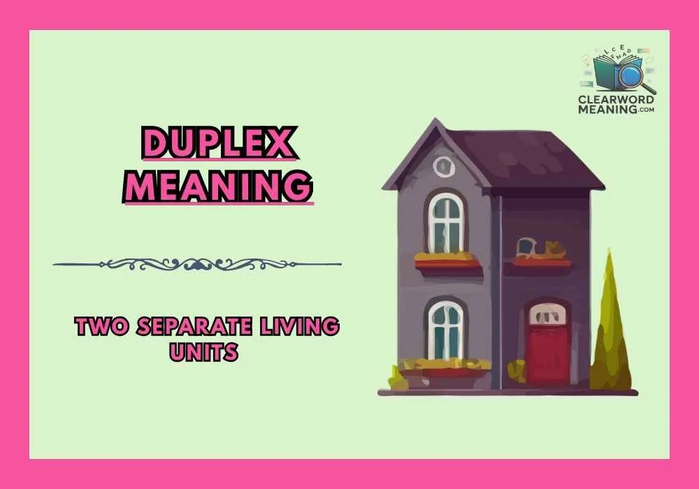 Duplex Meaning