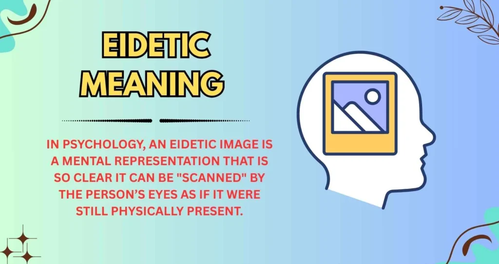 Eidetic Meaning