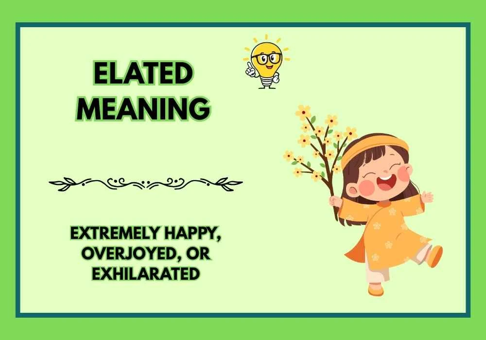 Elated Meaning