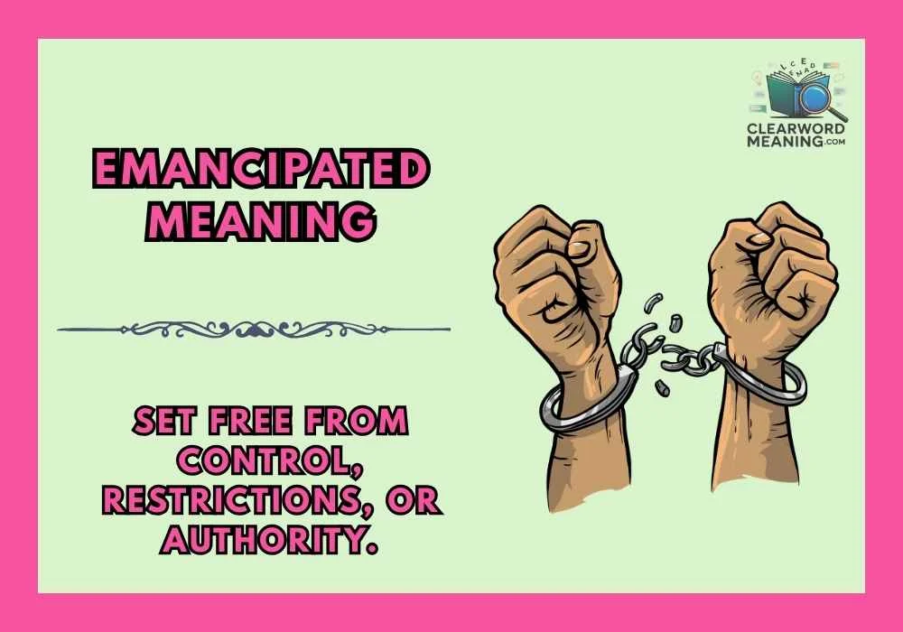 Emancipated Meaning