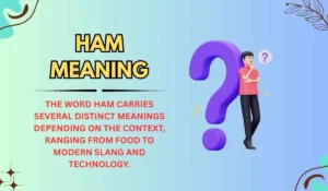 Ham Meaning