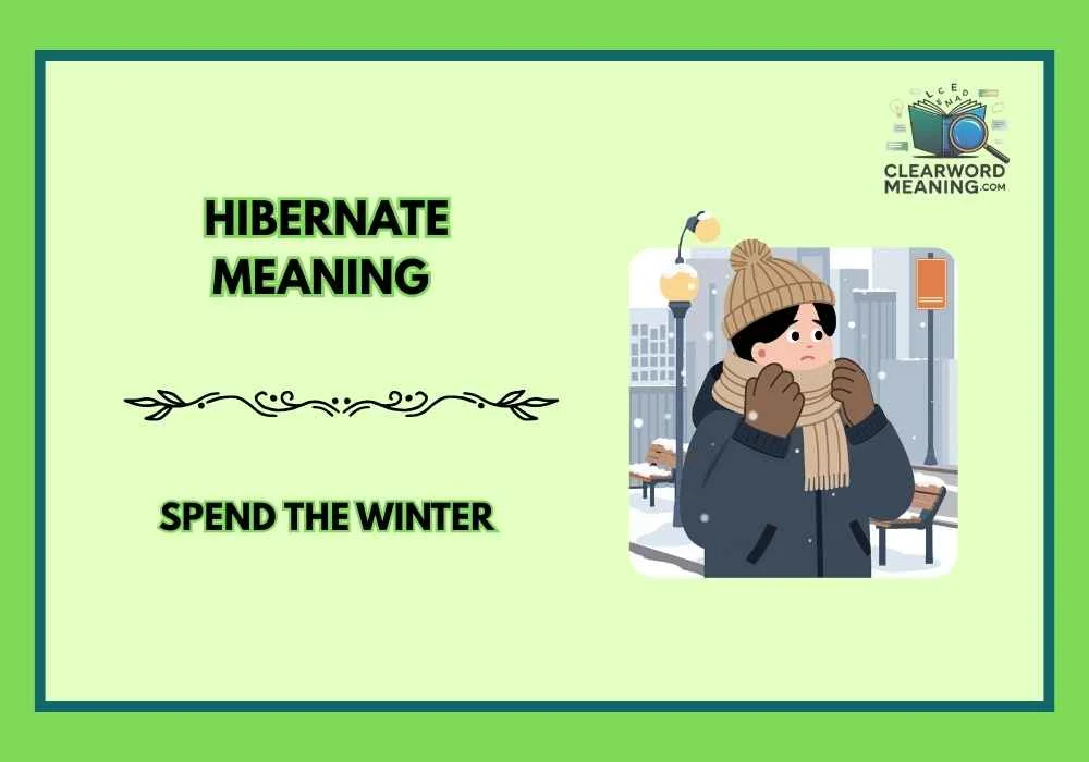 Hibernate Meaning