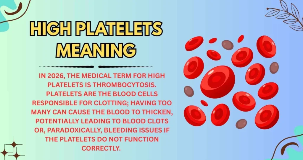 High Platelets Meaning