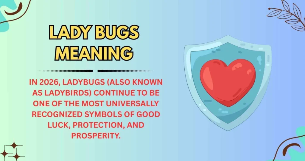 Lady Bugs Meaning