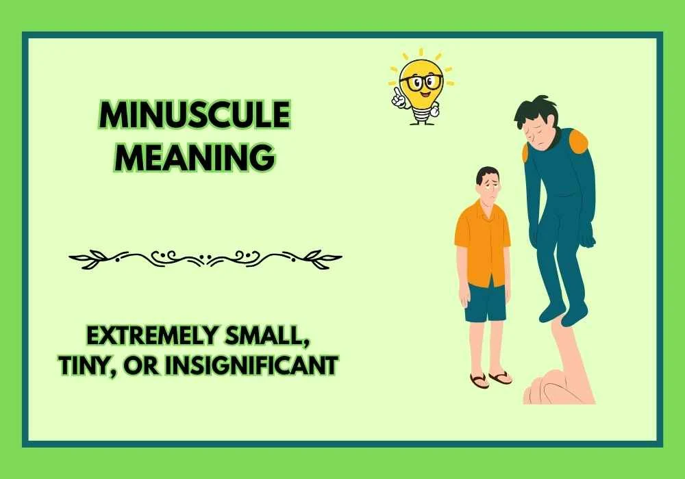 Minuscule Meaning