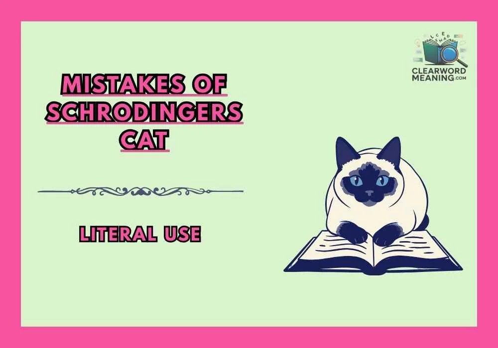 Mistakes of schrodingers cat