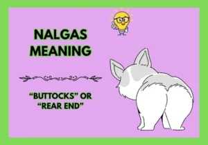 Nalgas Meaning