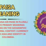 Paisa Meaning