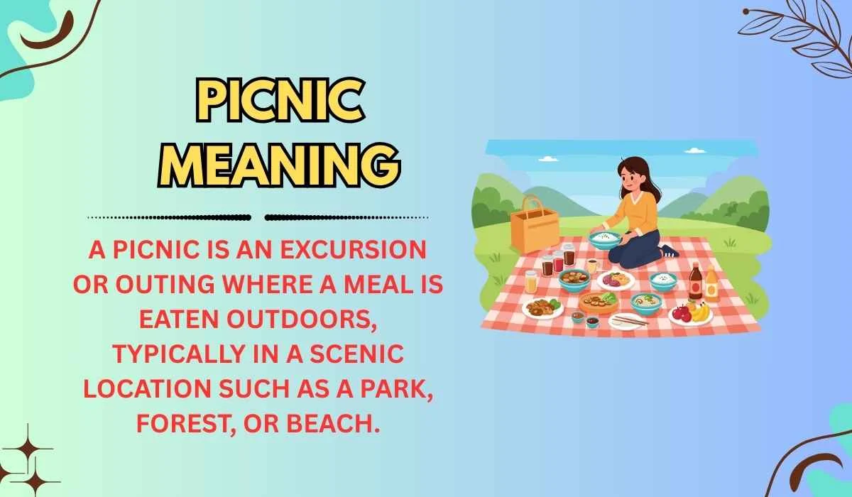 Picnic Meaning