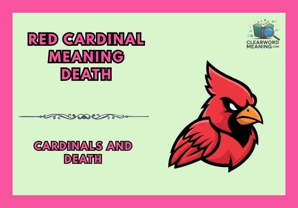 Red Cardinal Meaning Death