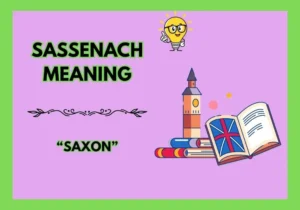 Sassenach Meaning
