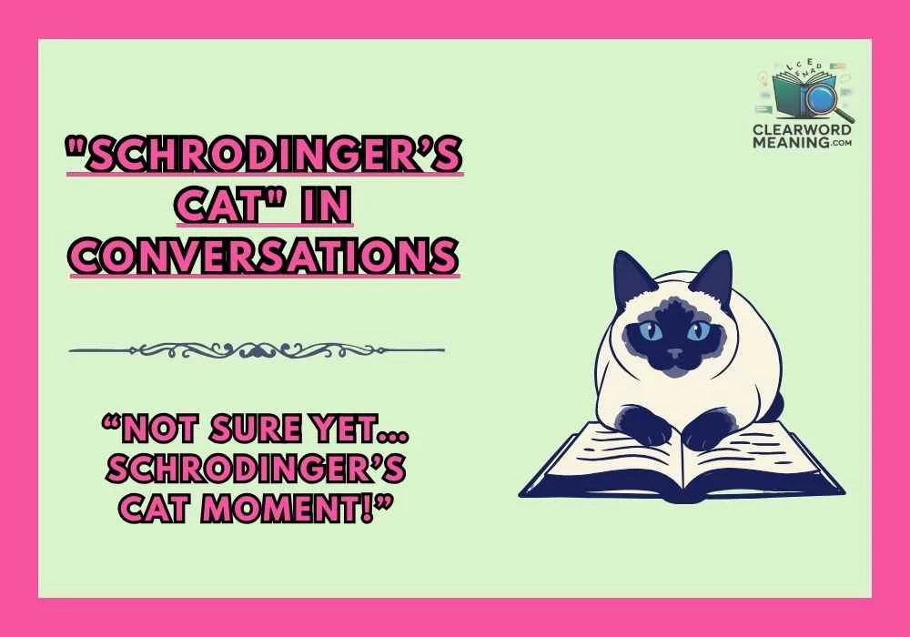schrodingers-cat-in-conversations