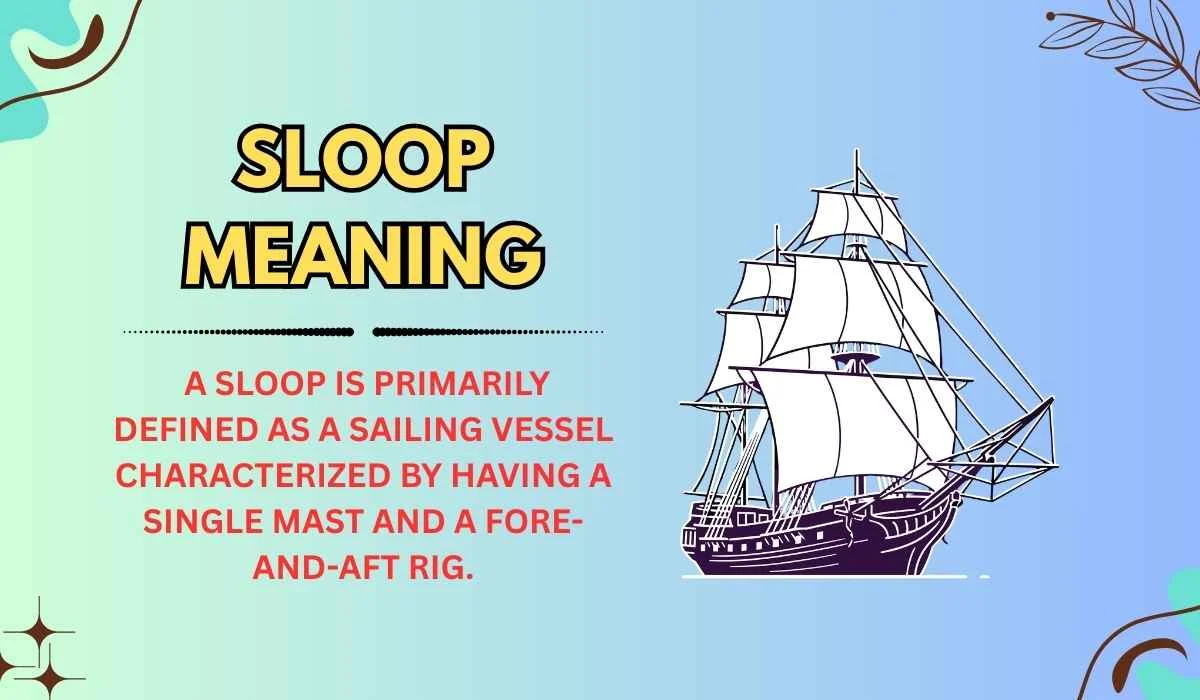 Sloop Meaning