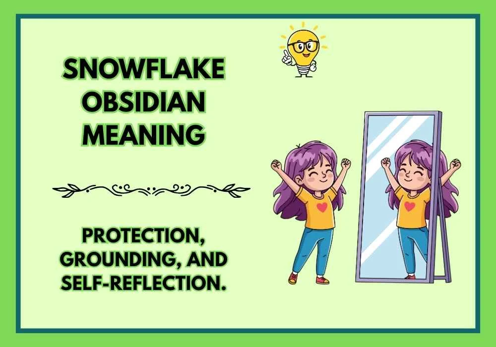 Snowflake Obsidian Meaning