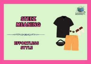 Steez Meaning