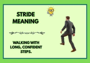 Stride Meaning