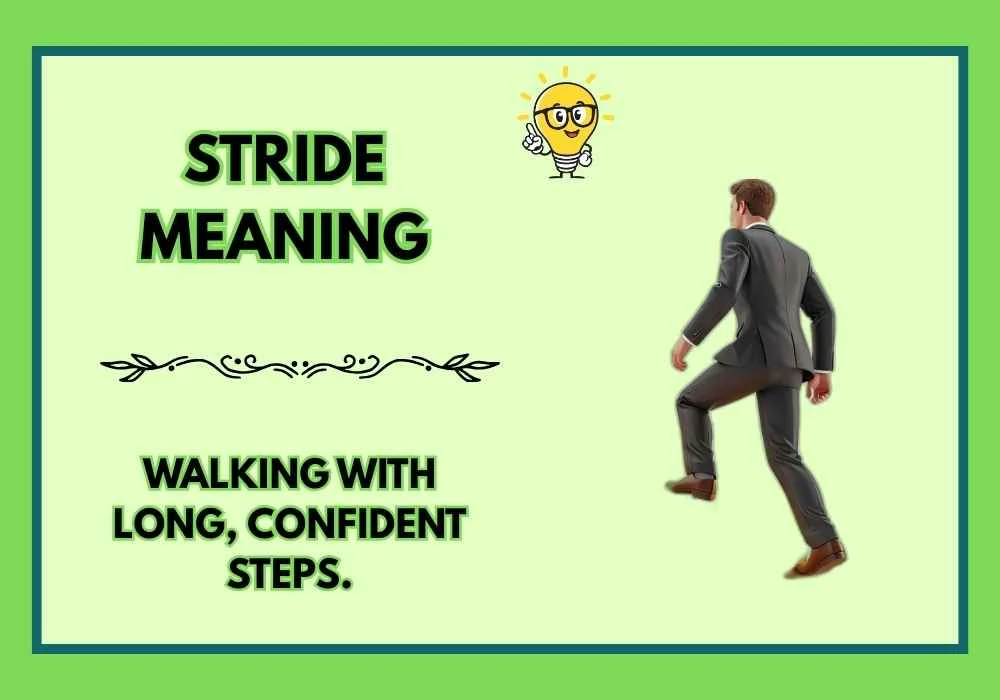 Stride Meaning