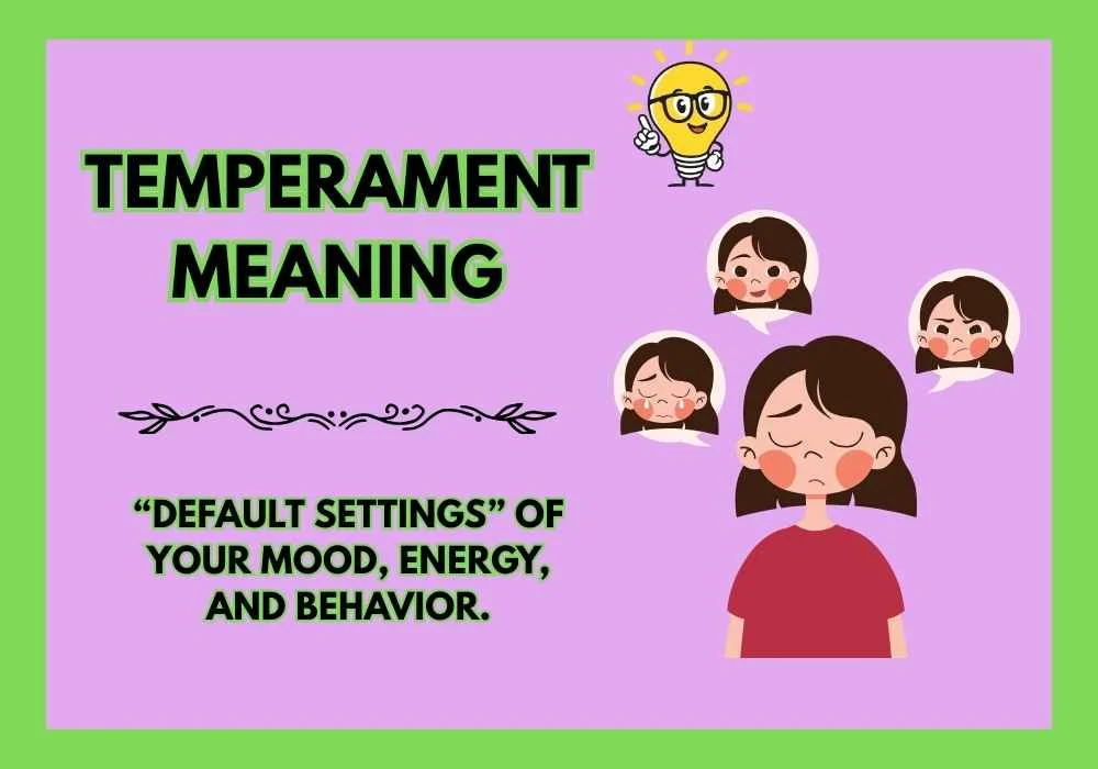 Temperament Meaning