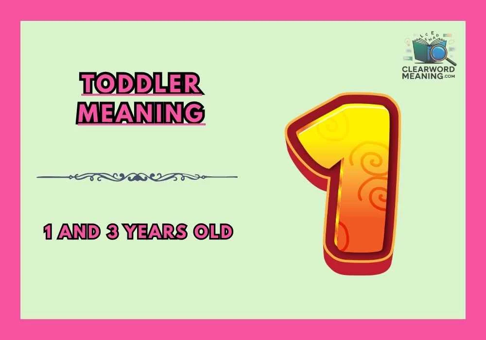 Toddler Meaning