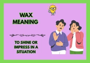 Wax Meaning