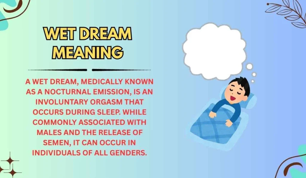 Wet Dream Meaning