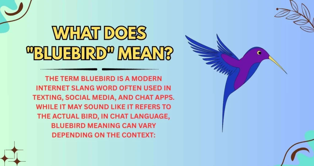 What Does "Bluebird" Mean?