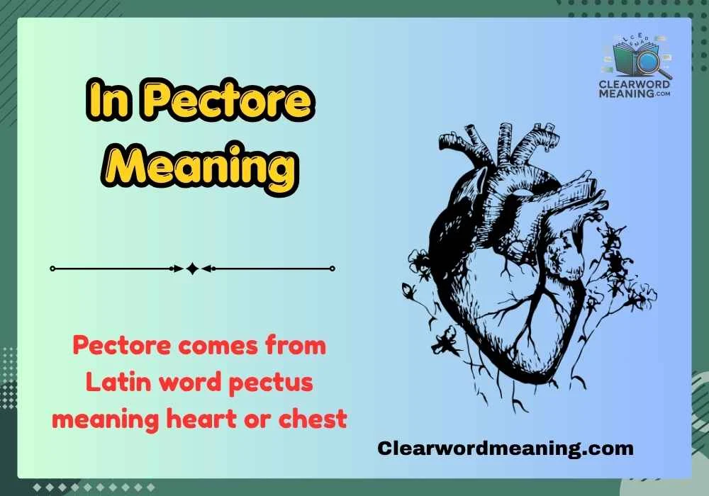 Pectore Latin Meaning