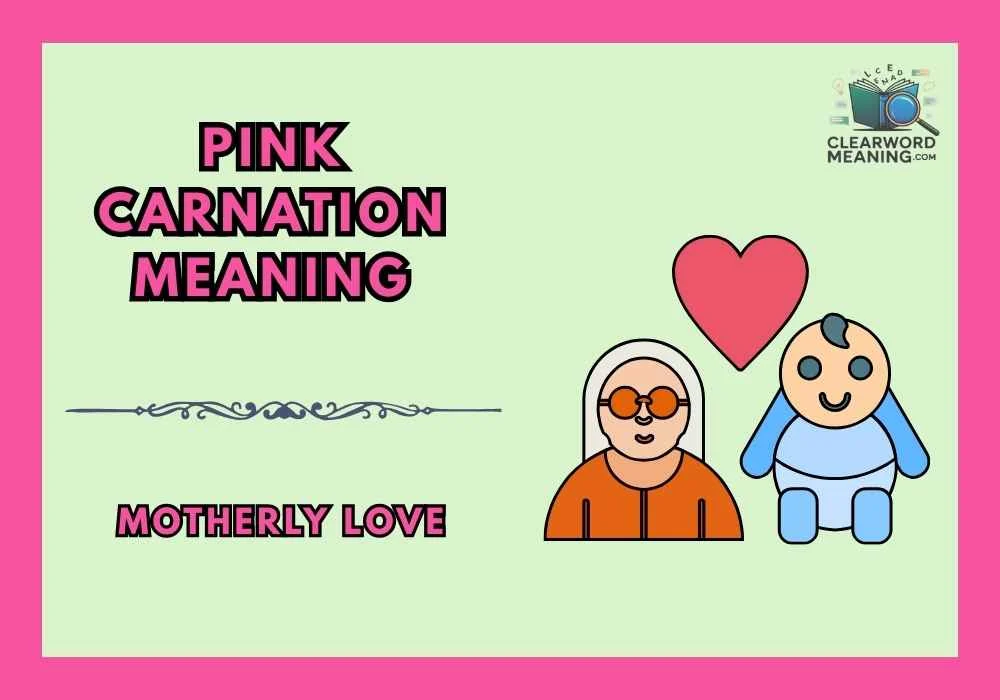 Pink Carnation Meaning