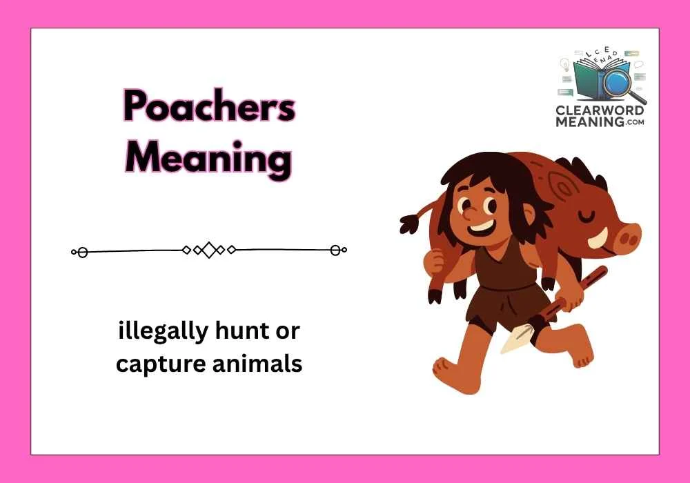 Poachers Meaning