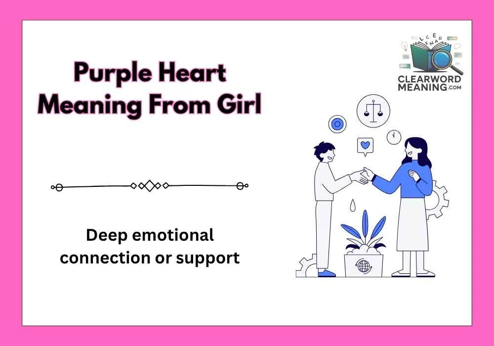 Purple Heart Meaning From Girl