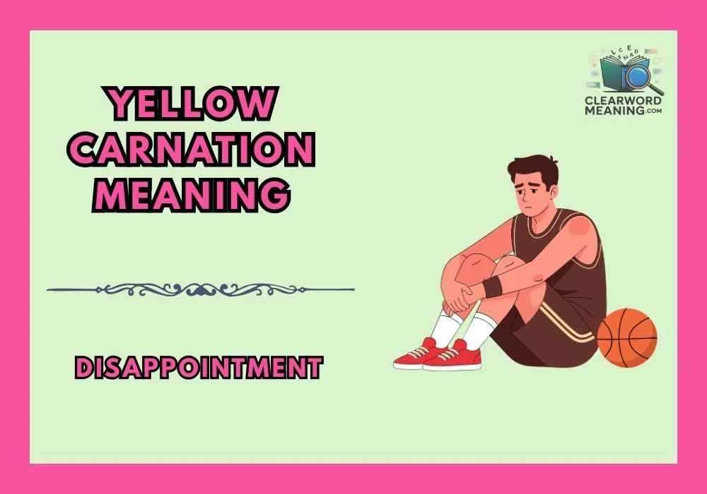 Yellow Carnation Meaning