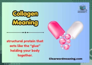 Collagen Meaning