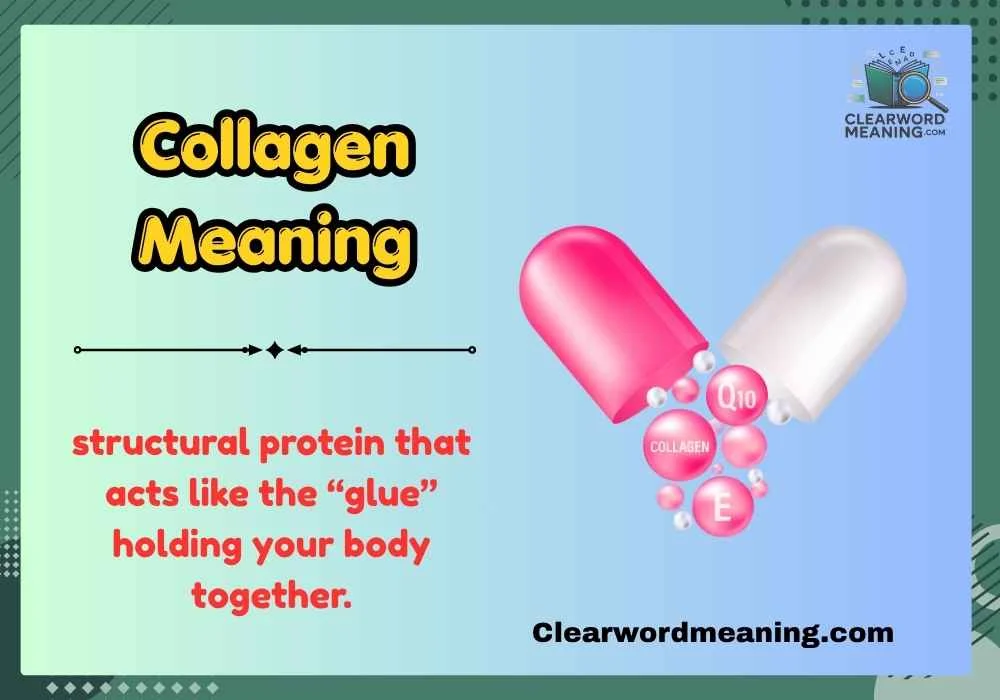 Collagen Meaning