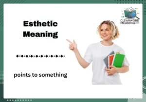 Esthetic Meaning