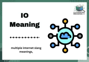 IO Meaning