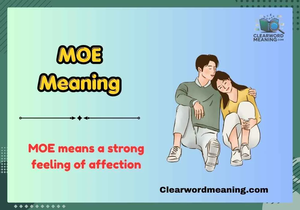 MOE Meaning