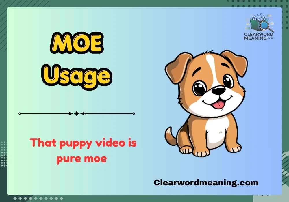 MOE Usage