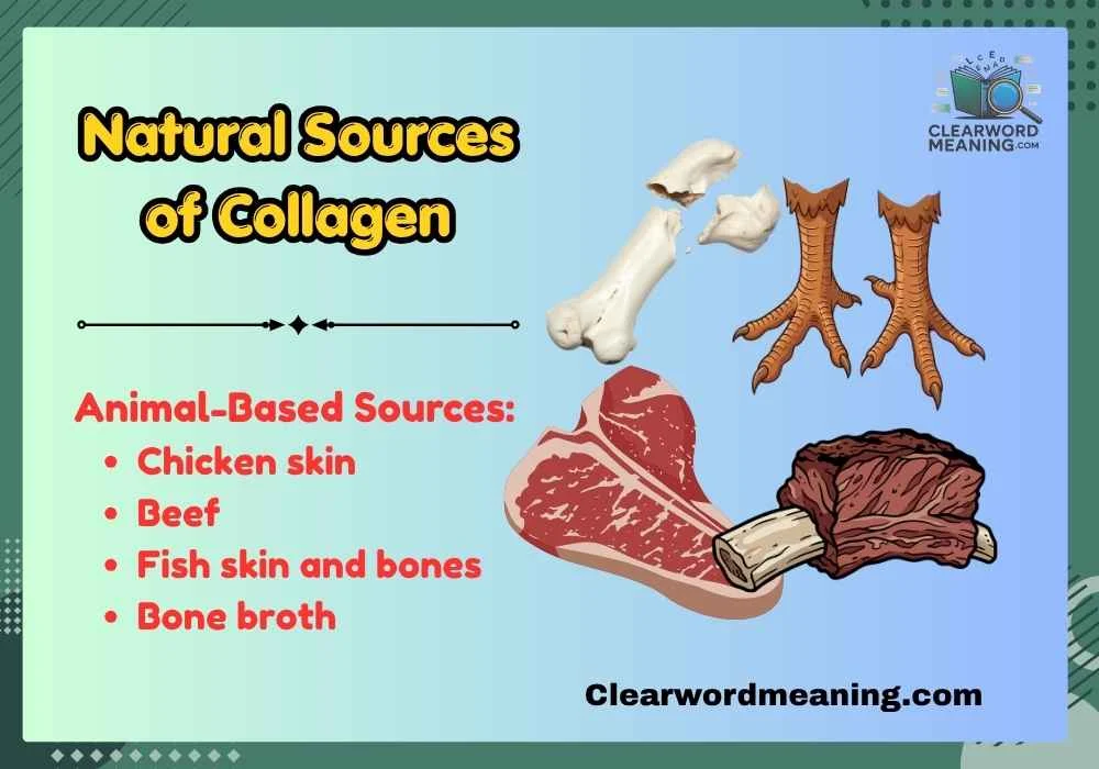 Natural Sources of Collagen