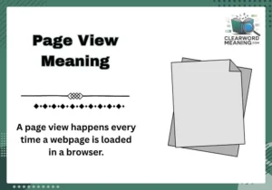Page View Meaning