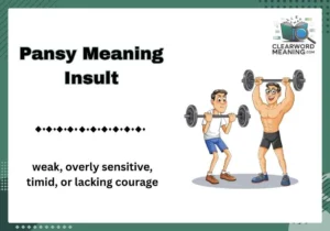 Pansy Meaning Insult