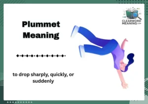 Plummet Meaning